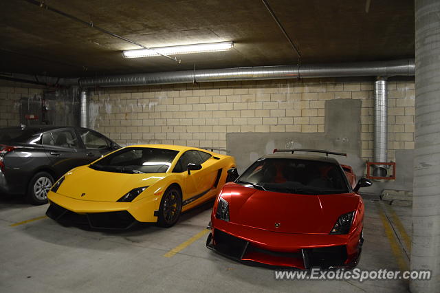 Lamborghini Gallardo spotted in Los Angeles, California