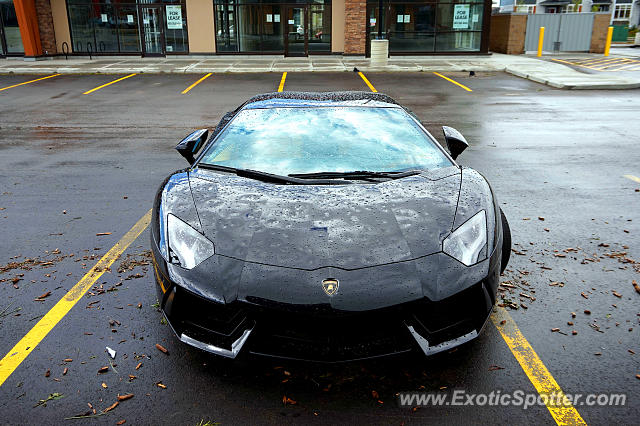 Lamborghini Aventador spotted in Calgary, Canada