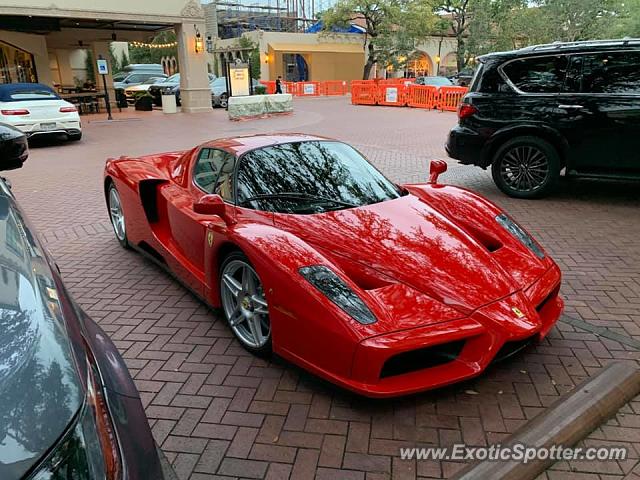 Ferrari Enzo spotted in Dallas, Texas