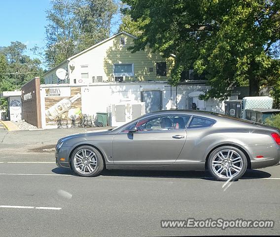 Bentley Continental spotted in Freehold, New Jersey