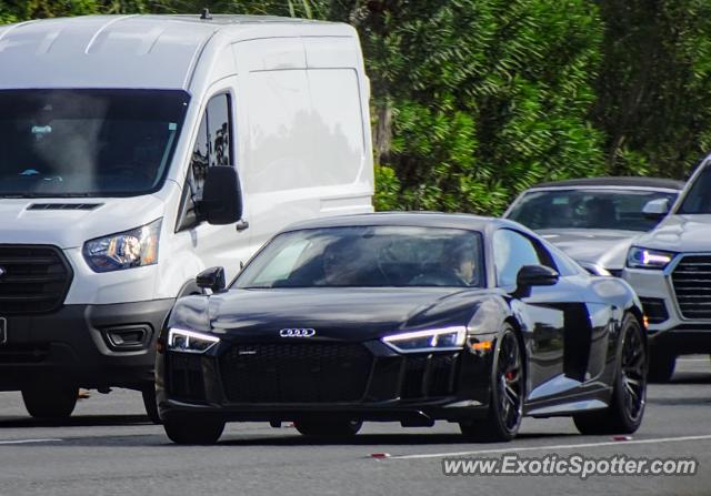 Audi R8 spotted in Jacksonville, Florida