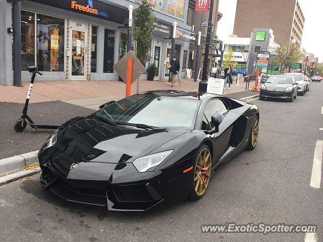 Lamborghini Aventador spotted in Calgary, Canada