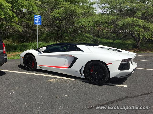 Lamborghini Aventador spotted in Honolulu, Hawaii