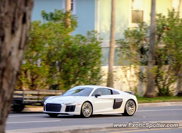 Audi R8 spotted in Jacksonville, Florida