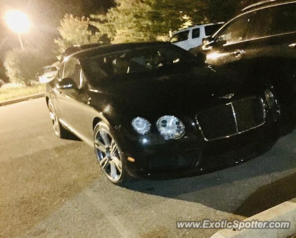 Bentley Continental spotted in Laurel, Maryland