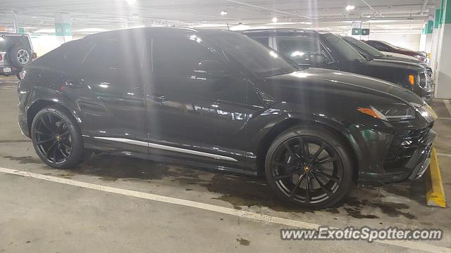 Lamborghini Urus spotted in DC, Washington