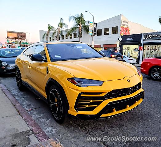 Lamborghini Urus spotted in Los Angeles, California