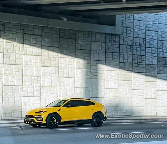 Lamborghini Urus spotted in Jacksonville, Florida