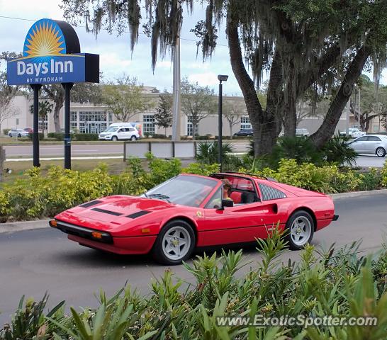 Ferrari 308 spotted in Port Charlotte, Florida
