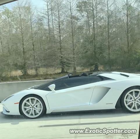 Lamborghini Aventador spotted in Jacksonville, Florida