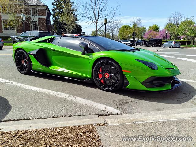 Lamborghini Aventador spotted in Birmingham, Michigan