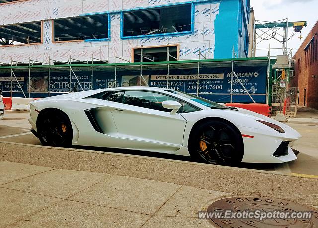 Lamborghini Aventador spotted in Birmingham, Michigan