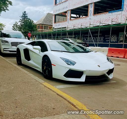 Lamborghini Aventador spotted in Birmingham, Michigan