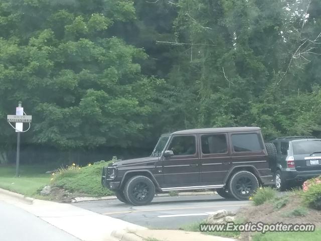 Mercedes 4x4 Squared spotted in Asheville, North Carolina