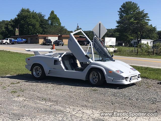 Other Kit Car spotted in Grafton, West Virginia
