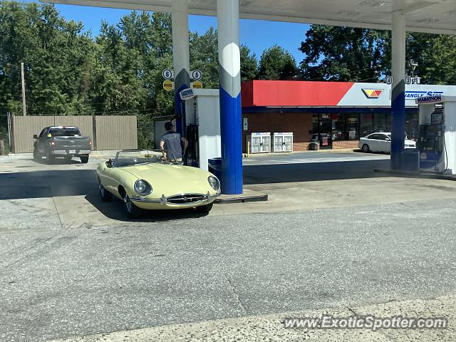 Jaguar E-Type spotted in Mills River, North Carolina