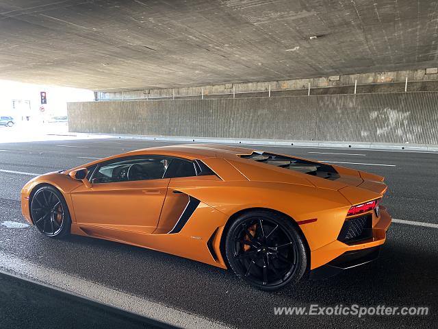Lamborghini Aventador spotted in Irvine, California