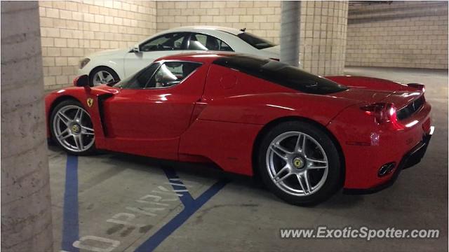 Ferrari Enzo spotted in Walnut, California