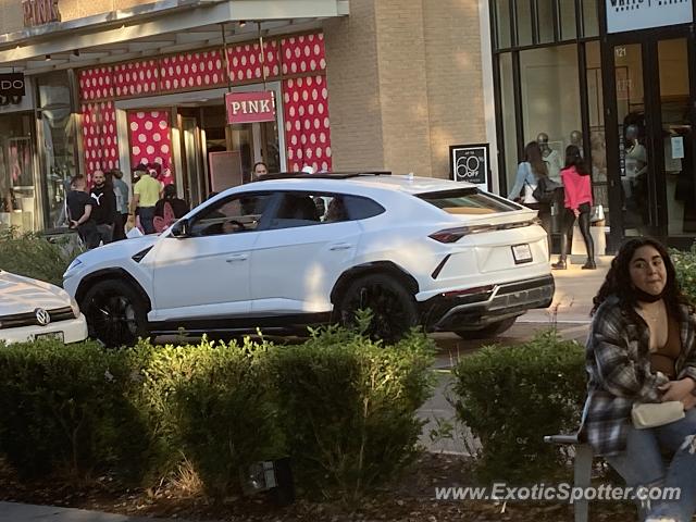 Lamborghini Urus spotted in Austin, Texas