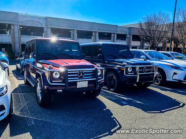 Mercedes 4x4 Squared spotted in Charlotte, North Carolina