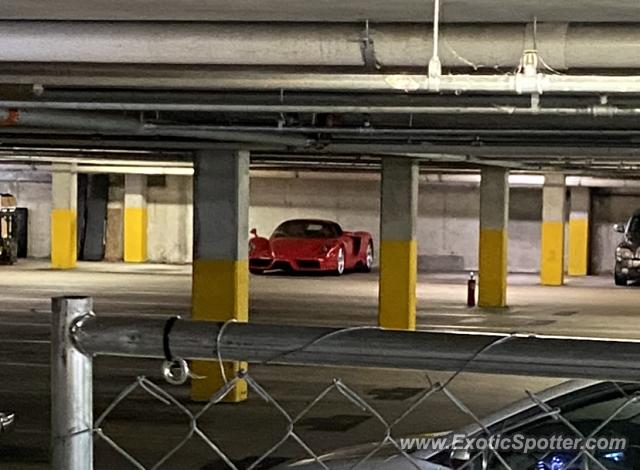 Ferrari Enzo spotted in Amelia Island, Florida
