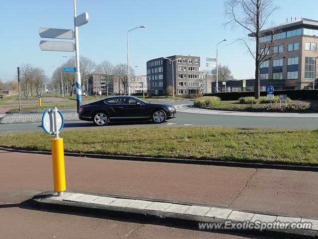Bentley Continental spotted in Papendrecht, Netherlands