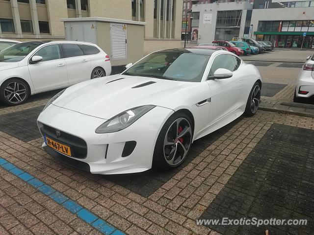 Jaguar F-Type spotted in PAPENDRECHT, Netherlands