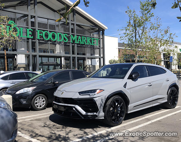 Lamborghini Urus spotted in Los Angeles, California