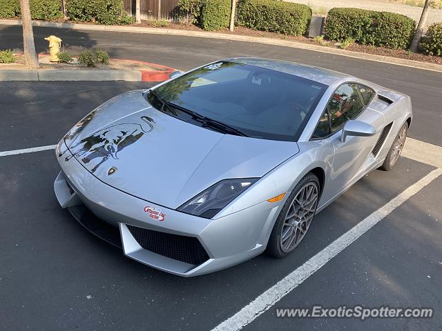 Lamborghini Gallardo spotted in Pleasanton, California
