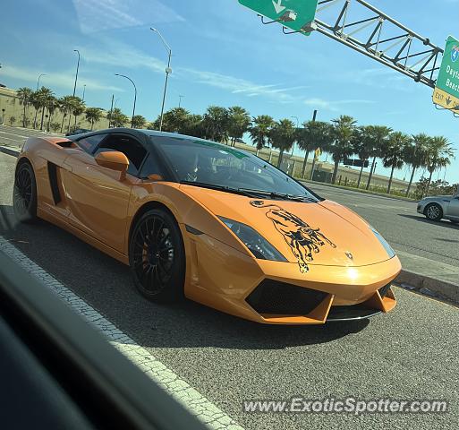 Lamborghini Gallardo spotted in Orlando, Florida
