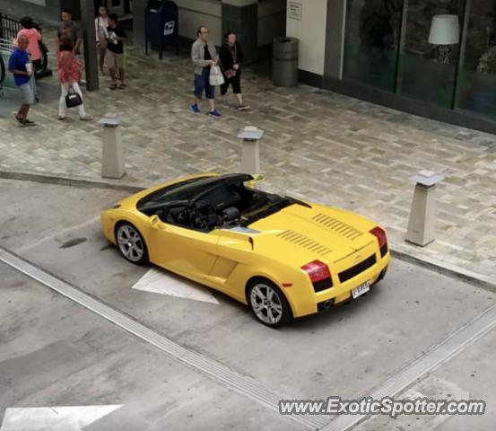 Lamborghini Gallardo spotted in Honolulu, Hawaii