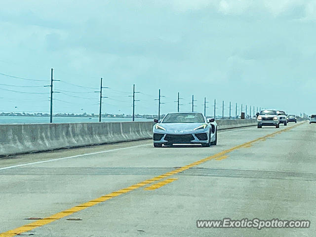 Chevrolet Corvette Z06 spotted in Layton Key, Florida