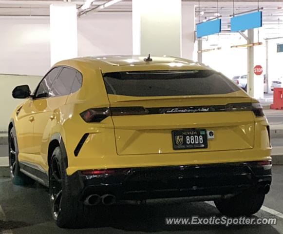 Lamborghini Urus spotted in Honolulu, Hawaii