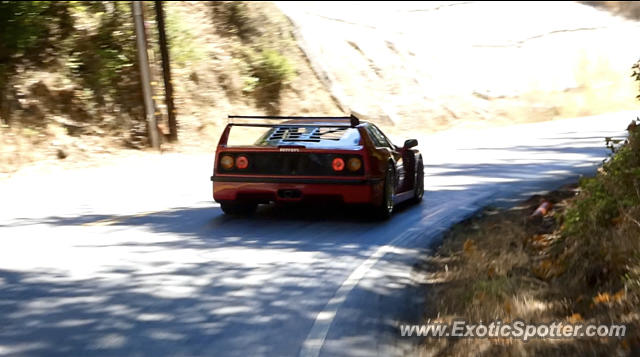 Ferrari F40 spotted in Woodside, California