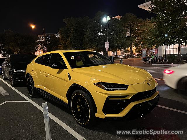 Lamborghini Urus spotted in Washington DC, United States