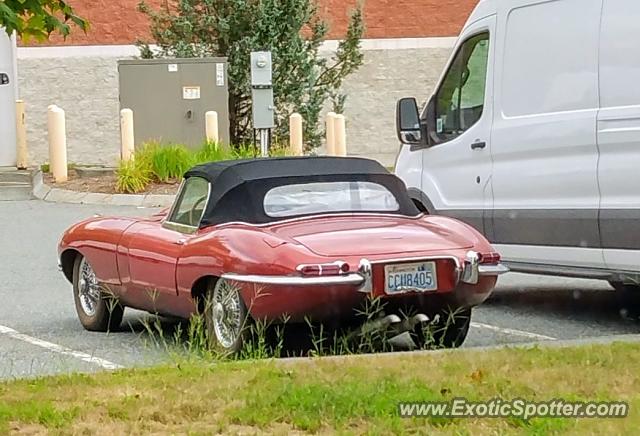 Jaguar E-Type spotted in West Lebanon, New Hampshire