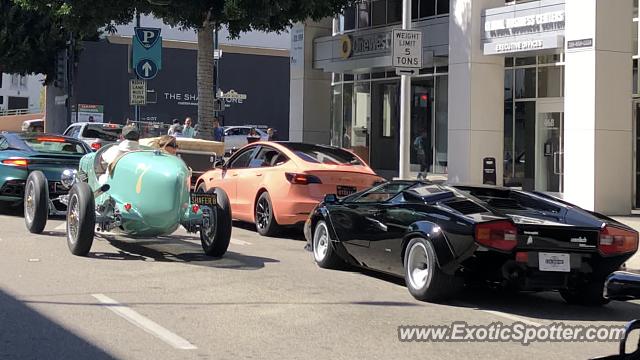 Other Vintage spotted in Beverly Hills, California