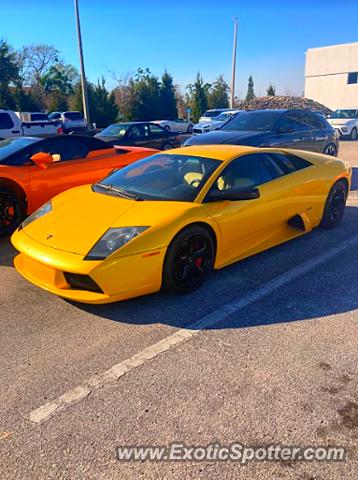 Lamborghini Murcielago spotted in Venice, Florida