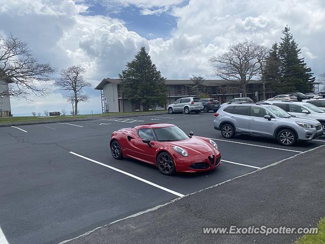 Alfa Romeo 4C spotted in Pisgah Inn, North Carolina
