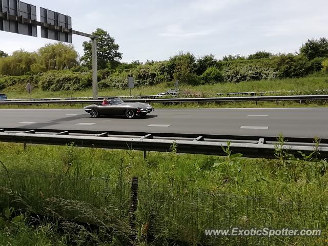 Jaguar E-Type spotted in Papendrecht, Netherlands