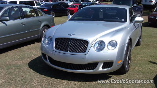 Bentley Continental spotted in Jacksonville, Florida