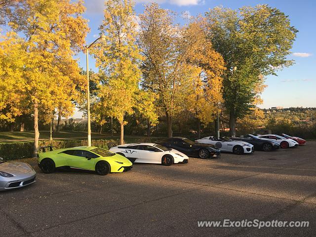 Lamborghini Murcielago spotted in Edmonton, Canada