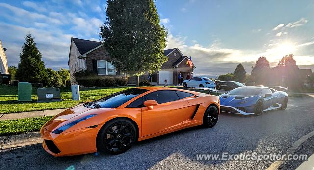 Lamborghini Gallardo spotted in Burlington, Kentucky