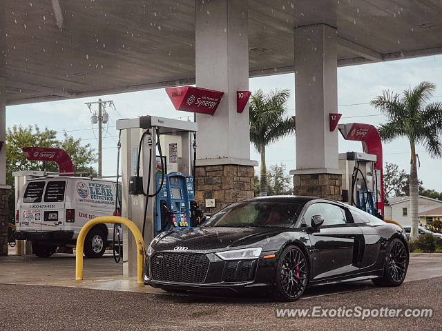 Audi R8 spotted in Punta Gorda, Florida