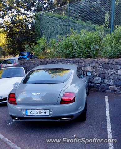 Bentley Continental spotted in Funchal, Madeira, Portugal