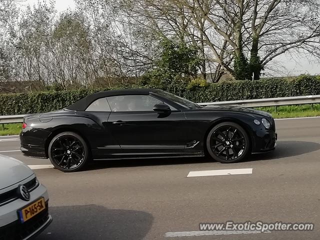 Bentley Continental spotted in Papendrecht, Netherlands