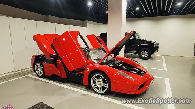 Ferrari Enzo spotted in Budapest, Hungary