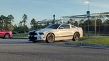 Ford Shelby GR1