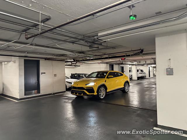 Lamborghini Urus spotted in Washington DC, United States