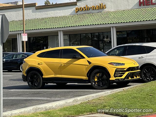 Lamborghini Urus spotted in Manhattan Beach, California